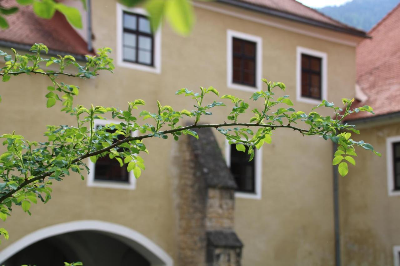Hotel Im Stift Neuberg Neuberg an der Muerz Bagian luar foto